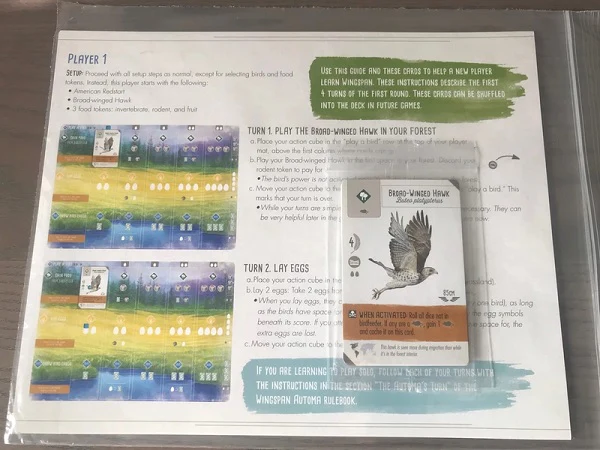 WINGSPAN W/ SWIFT START - Image 2